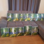 pilates si yoga retreat femei